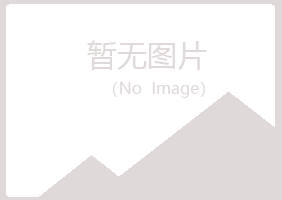 青山区忘记邮政有限公司